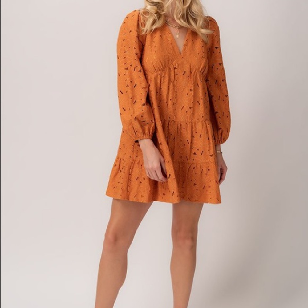 Floral embroidered overlay  ruffled dress.